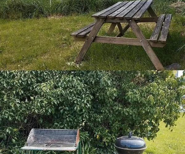 Hébergement de vacances La Maisonnette 2personnes Le Rdc à 1200m De La Agon-Coutainville